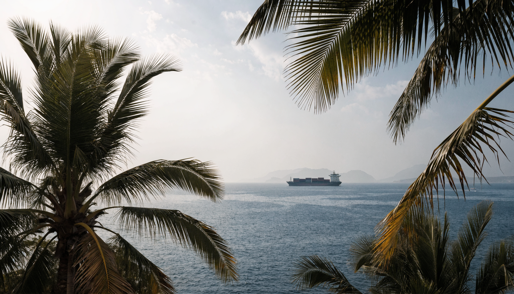 Container ship on the Arabian Gulf horizon, framed by palm trees | Addtocart Dubai UAE