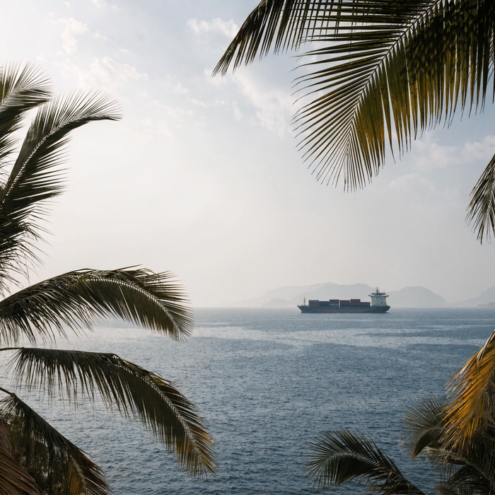 Container ship on the Arabian Gulf horizon, framed by palm trees | Addtocart Dubai UAE
