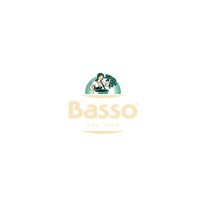 Basso official brand logo
