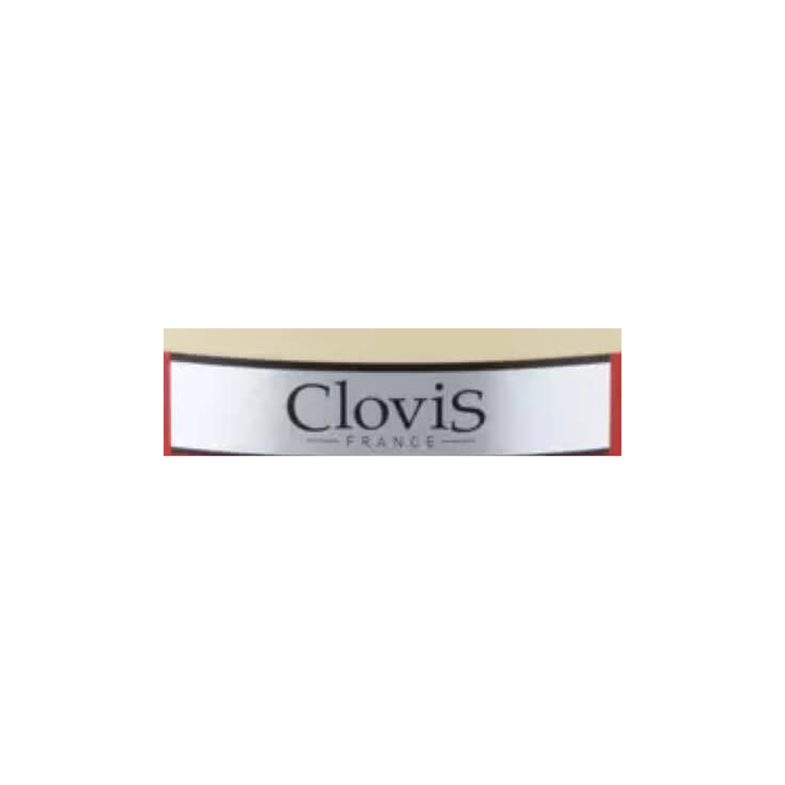 Clovis official brand logo