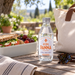 Acqua Panna Outdoor picnic setting - illustrative supporting image