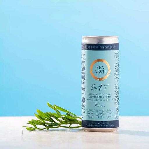 Sea Arch Sea & T Non-Alcoholic Gin & Tonic, UK - 1 x 250ML product lifestyle image | SKU BEVR-733316