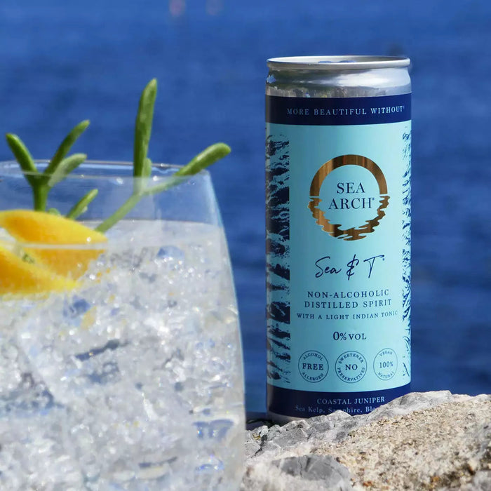 Sea Arch Sea & T Non-Alcoholic Gin & Tonic, UK - 1 x 250ML product lifestyle image | SKU BEVR-733316