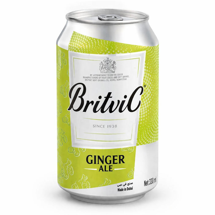 Britvic Ginger Ale Soft Drink - 24 X 300ML | Addtocart Dubai UAE