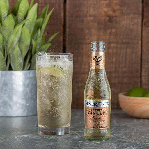 Fever Tree Premium Tree Ginger Ale - 24 X 200ML — additional view | Addtocart Dubai UAE