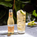 Fever Tree Premium Tree Ginger Ale - 24 X 200ML — additional view | Addtocart Dubai UAE
