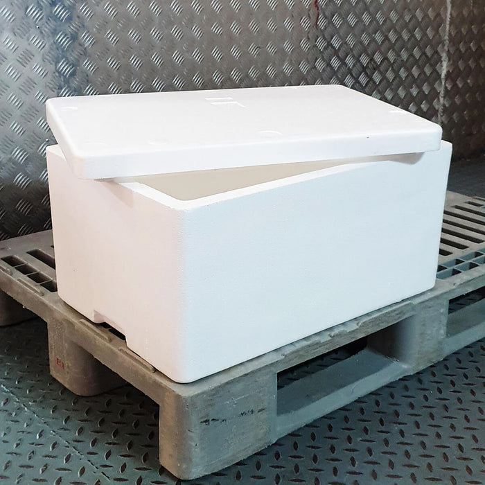 GGFT Thermocol Box With Lid for Frozen Food & Beverage transport, Box Capacity 25KG | Addtocart Dubai UAE