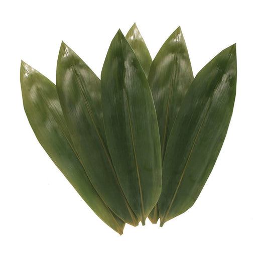 Sakura Jirushi Bamboo Leaves 100 Leaves UAE