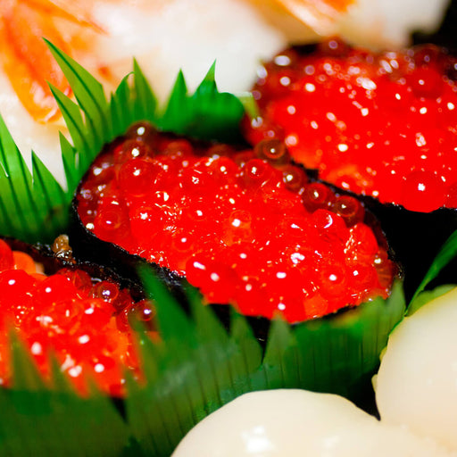 Green plastic baran sushi divider sheets UAE