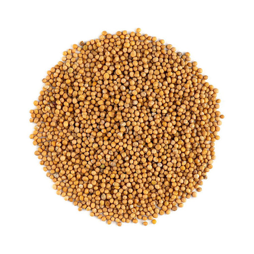 Omega Mustard Seed - 1KG | Addtocart Dubai UAE