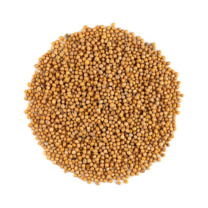 Omega Mustard Seed - 1KG | Addtocart Dubai UAE