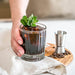 Coffee with Wild Mint made with Monin Wild Mint Syrup