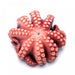 GGFT Octopus Boiled, China - 1KG — additional view | Addtocart Dubai UAE